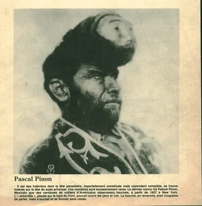 Cabinet de curiosité Pascal Pinon avec une extra-tête issu de livre 1971 - Foto 1 di 1