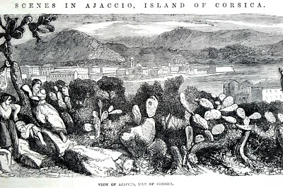 Ajaccio 科西卡岛 意大利 1856 年 城市 仙人掌 古董 Matted 印花 — 第 1/4 张图片