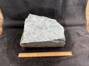Z~ Galaxy Ryolite Rough 13 lbs - Bild 1 von 7