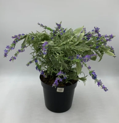 Pottery Barn Faux Potted Lavender in Terracotta Pot Large 24.5" H #1692 - Image 1 of 4