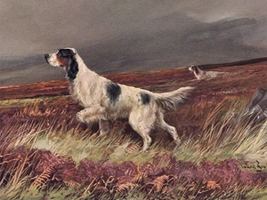 ENGLISH SETTER CHARMING DOG GREETINGS NOTE CARD BEAUTIFUL DOGS ON THE MOOR - Picture 1 of 1