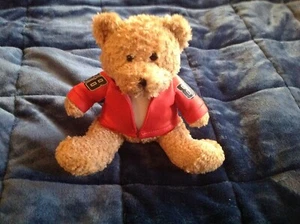 Dale Earnhardt 88 plush stuffed teddy bear - Picture 1 of 2