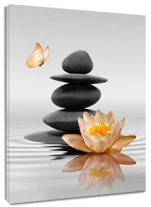 Butterfly Orange Water Lily Zen Abstract Wall Art for Bathroom Living Room - Picture 1 of 15