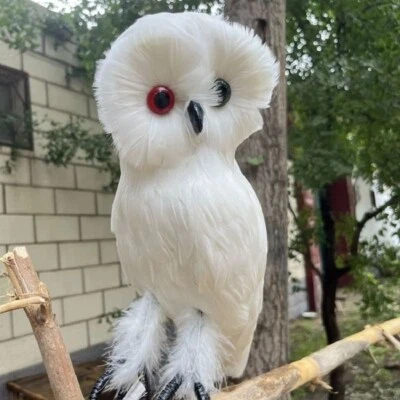 cute simulation white owl model foam&feather lovely owl gift about 32cm - Image 1 of 2