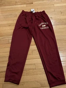Nike Florida State University FSU Seminoles Dri-Fit Spotlight Pants DD6359 L Men - Picture 1 of 7