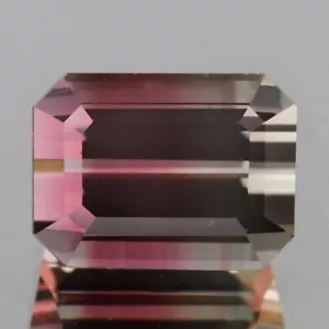 Video_1,61cts_Nigeria_Turmalina natural_VS_Vivid bicolor_corte esmeralda_GM527 - Imagen 1 de 2