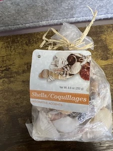 Jarrón Sea Shells surtido conchas decorativas 1 bolsa 8,8 oz - Imagen 1 de 4
