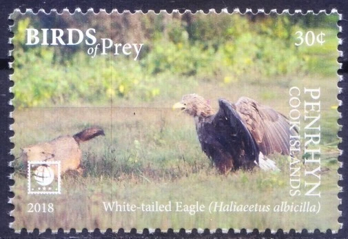 Penrhyn Cook Islands 2018 MNH, Birds of Prey, White tailed Eagle, Falcons - Image 1 of 1