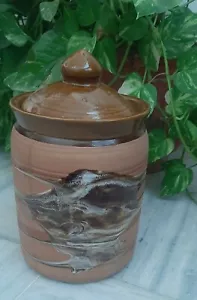 Barattolo sottaceto ceramica indiana contenitore marrone con coperchio contenitore zucchero tè - Foto 1 di 8