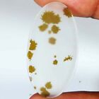 (17X33X2 MM) 15.75 Cts. NATURAL SCENIC DENDRITIC AGATE OVAL SHAPE LOOSE GEMSTONE