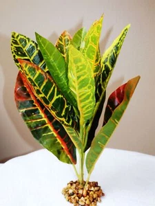 10" Medium CROTON PLANT Plastic-coated silk Plant, Stone Base - Picture 1 of 5