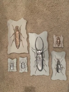 NUOVO Insetto Scarabeo Insetto Wall Art Gesso Argento Oro Collezione *difetto* - Foto 1 di 12