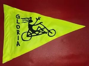 Triciclo Reclinado Triciclo Marty Personalizado 12"x18" Triángulo Bandera de Seguridad - Imagen 1 de 5