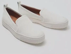 Zodiac Damen-Slipper ─ Ciara TINI 59 $ {&} - Bild 1 von 5