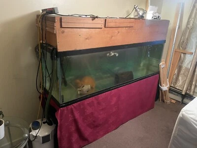 Аквариум 125 галлонов с домашним черепаховым верхом - Изображение 1 из 4