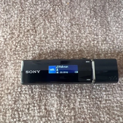 Sony NW-E015 Walkman Reproductor de Música Digital Audio Negro 2GB MP3 USB St... - Imagen 1 de 4