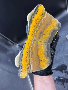 Bumble Bee Jasper slabs great plumes - Picture 1 of 6
