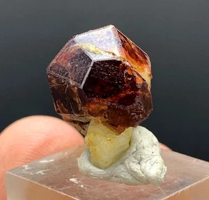 Red Garnet Crystal, Ganet Gem from Pakistan - 21.00 Carats - Picture 1 of 5