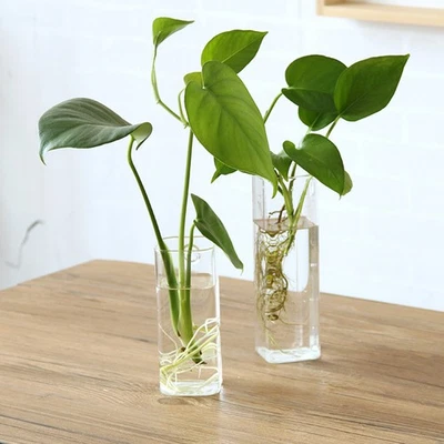  Blumentöpfe Zum Aufhängen Blumentopf Hängende Übertopf An Der Wand - Bild 1 von 4