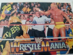 KLASSISCHER WRESTLING HULK HOGAN WRESTLE MANIA CHAMP GEGEN MACHO MAN - Bild 1 von 3