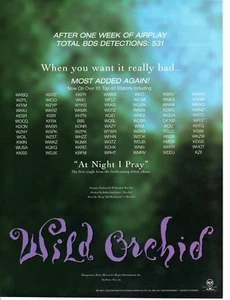 Vintage print Radio Music Promo Wild Orchids At Night I Pray debut album - Picture 1 of 2
