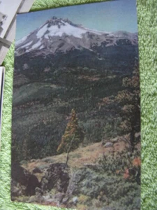 50. DIENSTJAHR 76 BENZIN NR.32 UNION OIL COMPANY FARBSZENEN DES WESTENS - Bild 1 von 1