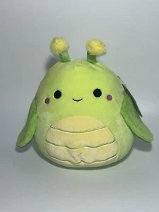 Squishmallow Pilar Grasshopper 8 Zoll Plüsch Summer Squad Kellytoy Neu Neu mit Etikett - Bild 1 von 5