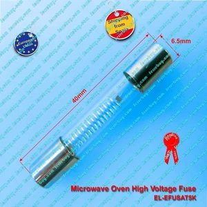 Fuse microwave original 5Kv 600mA 0.60A to 900mA 0.9A, microondas fusible - Imagen 1 de 1