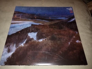 Mountain Goats-Dark In Here (Merge 2LP 2021) Alt/Indy Rock/3 Sides/GF/NM - Picture 1 of 6