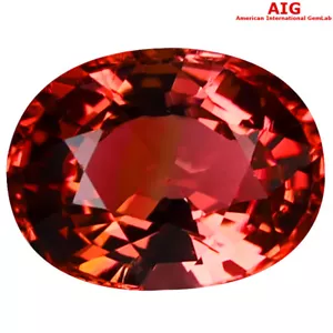 2.72 ct AIG Certified Tremendous Oval Shape (10 x 8 mm) Orange Pink Tourmaline - Picture 1 of 2
