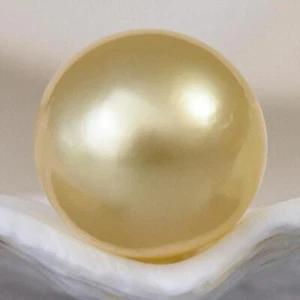 South Sea Pearl Golden Round 9.58 mm Maluku Indonesia 1.24 g undrilled - Picture 1 of 12