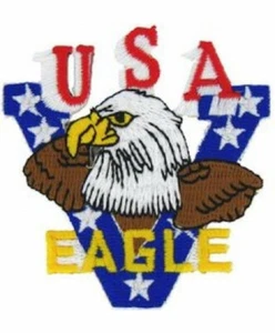 USA Eagle Patch - Picture 1 of 1