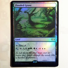 Flooded Grove FOIL - Double Masters (Magic/MTG) NM/LP