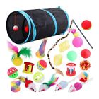 22 Pcs  Toys Interactive for Indoor Cats Tunnel Mouse Kitten Toys  Feather Teas