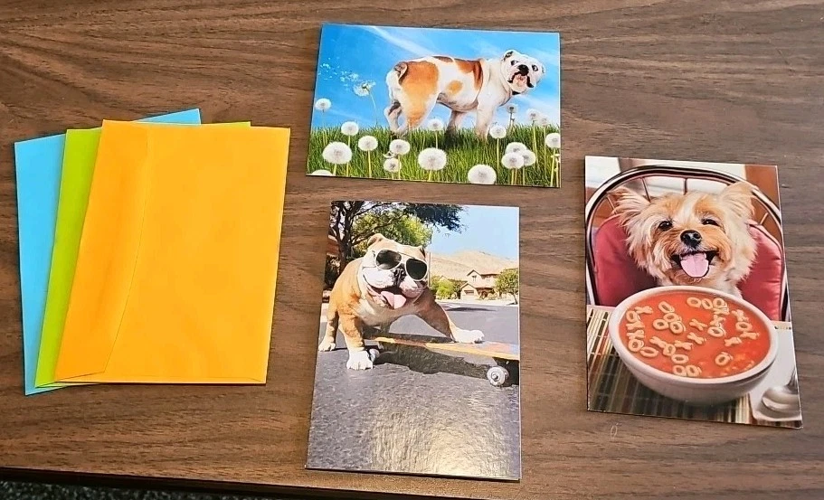 Lot of 3 Dogs Greeting Card Lot Avanti Press USA Happy Birthday Feel Better  - Image 1 of 4