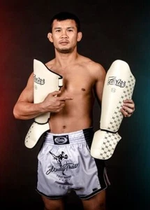 GENUINO FAIRTEX Shin Pads Ganador Premio MMA EQUIPO SP5 - Imagen 1 de 25