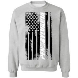 Sudadera cuello redondo con bandera estadounidense de Pensilvania - Imagen 1 de 6