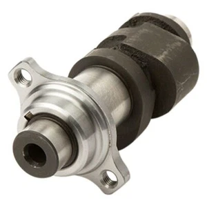 Hot Cams 1009-1 stage 1 camshaft 2000-2007 Honda XR650R - Bild 1 von 1