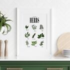 Kitchen Herb Print Poster Cooking Guide Vintage Kitchen Decor Wall Art Cute 160