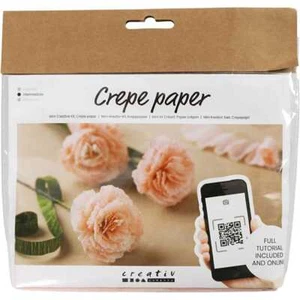 Mini Kreativ Set Krepppapier Nelken Blumen basteln aus Krepp-Papier - Bild 1 von 3