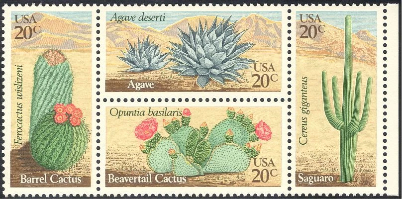 EUA 1981 Cactos/Cactos/Suculentas/Plantas do Deserto/Flores/Natureza 4v preto (n25446) - Imagem 1 de 1