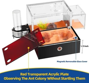 Ameisenfarm T 3D (Ameisen)(Ant farm, Formicarium, Ants) Ant Nest Ameisennest DE - Bild 1 von 10