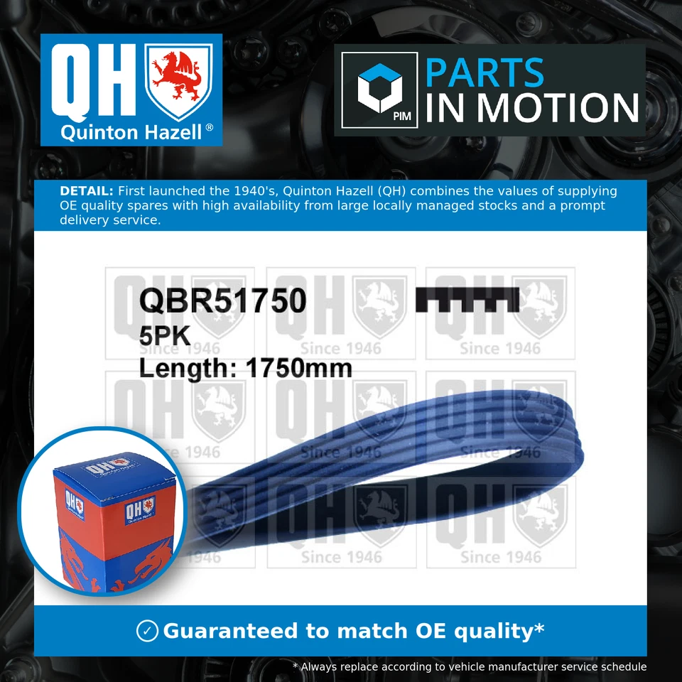 Correa de transmisión 5 Rib Multi V para MERCEDES A190 W168 1.9 99 a 04 M166.990 QH nueva Foto 1 de 4