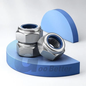 Nylon Hexagon Nuts Nylon Insert Hexagon Locking Nuts M4-M12 Stainless Steel 201 - Picture 1 of 9