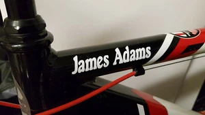 2 x PERSONALISED/CUSTOMISED BIKE BICYCLE FRAME NAME STICKERS MOUNTAIN BMX RACING - Picture 1 of 22
