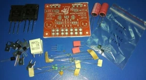 Matched Hiraga "Le Monstre" 8W + Power supply - Picture 1 of 3