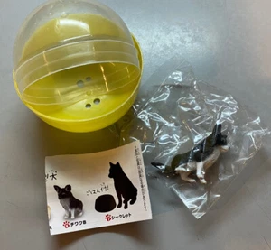 Epoch Capsule Chihuahua Dog - Picture 1 of 2