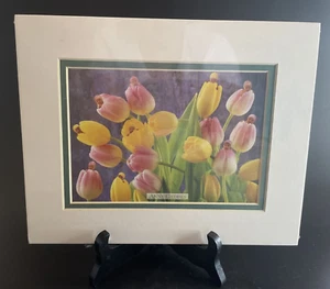 NOS Vintage Anne Geddes Lithograph Matted Tulips Sealed 8x10" Babies - Picture 1 of 4