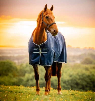 HORSEWARE Amigo Ripstop 900D Turnout 200g - Whitney Navy