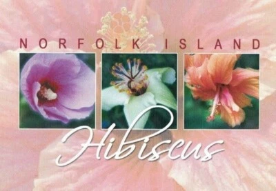 Isla Norfolk 2005 - Folleto de hibisco - Bloque de 12 - MNH Foto 1 de 2